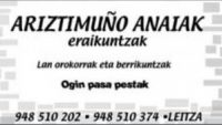 Ariztimuño anaiak