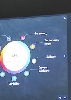 87e3acdf-d30f-44a5-a25c-6bdf405ae7c1