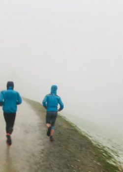 WhatsApp Image 2021-02-07 at 09.48.36