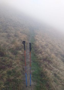 WhatsApp Image 2021-03-07 at 09.21.47